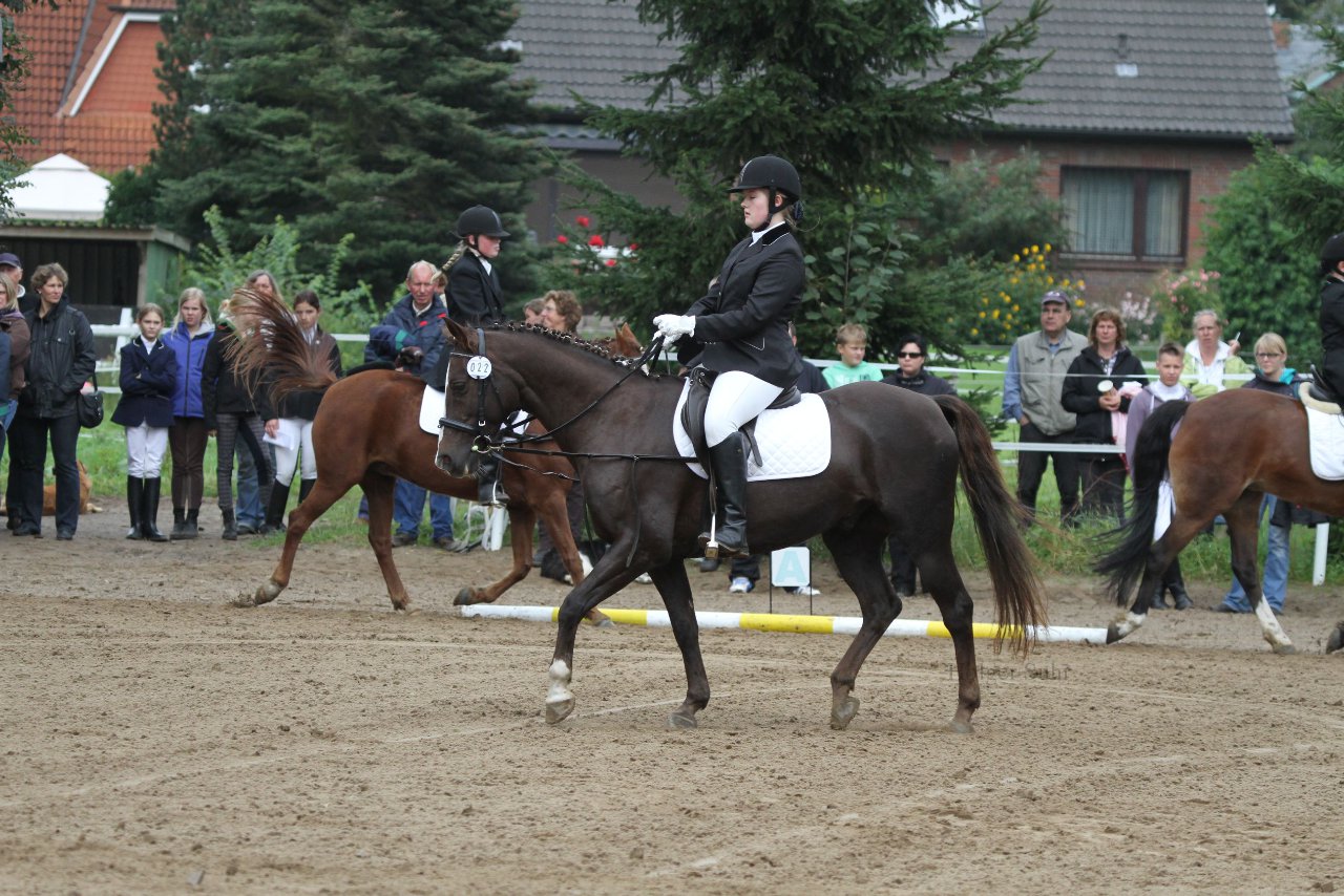 Bild 870 - WBO-Turnier am 18.9.11